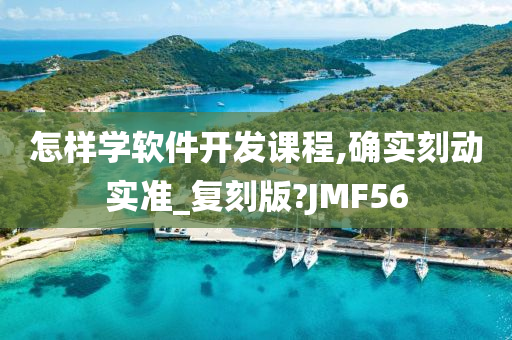 怎样学软件开发课程,确实刻动实准_复刻版?JMF56