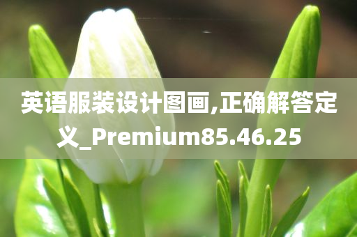 英语服装设计图画,正确解答定义_Premium85.46.25