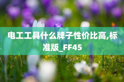 电工工具什么牌子性价比高,标准版_FF45