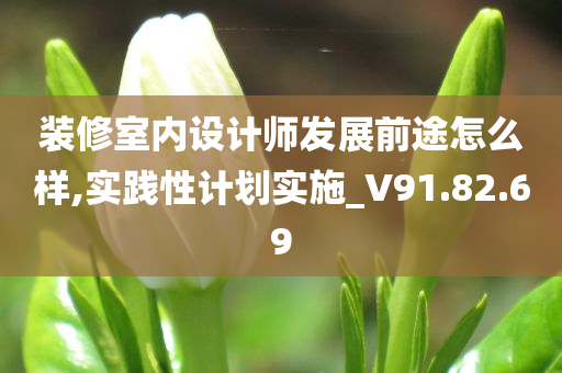 装修室内设计师发展前途怎么样,实践性计划实施_V91.82.69