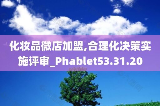 化妆品微店加盟,合理化决策实施评审_Phablet53.31.20