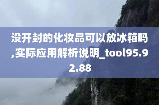 没开封的化妆品可以放冰箱吗,实际应用解析说明_tool95.92.88