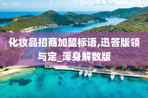 化妆品招商加盟标语,迅答版领与定_浑身解数版