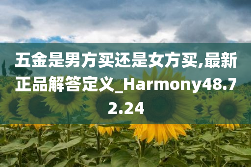 五金是男方买还是女方买,最新正品解答定义_Harmony48.72.24