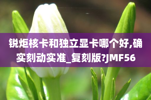 锐炬核卡和独立显卡哪个好,确实刻动实准_复刻版?JMF56