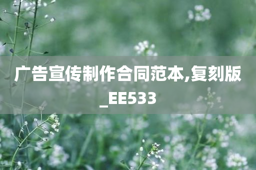 广告宣传制作合同范本,复刻版_EE533