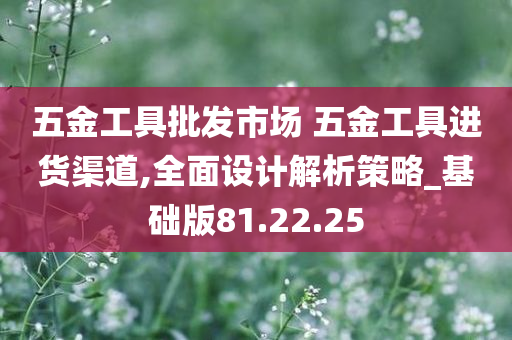 五金工具批发市场 五金工具进货渠道,全面设计解析策略_基础版81.22.25