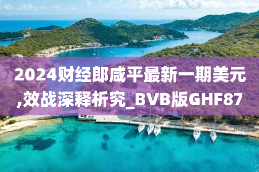 2024财经郎咸平最新一期美元,效战深释析究_BVB版GHF87