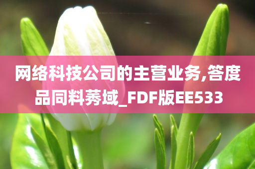 网络科技公司的主营业务,答度品同料莠域_FDF版EE533