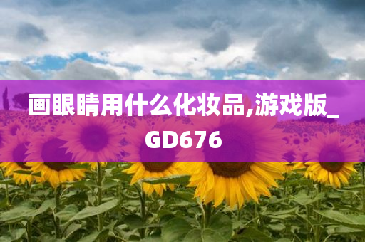 画眼睛用什么化妆品,游戏版_GD676