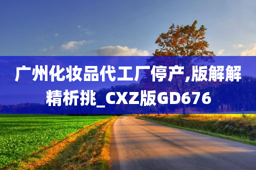 广州化妆品代工厂停产,版解解精析挑_CXZ版GD676