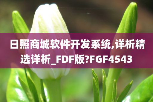 日照商城软件开发系统,详析精选详析_FDF版?FGF4543