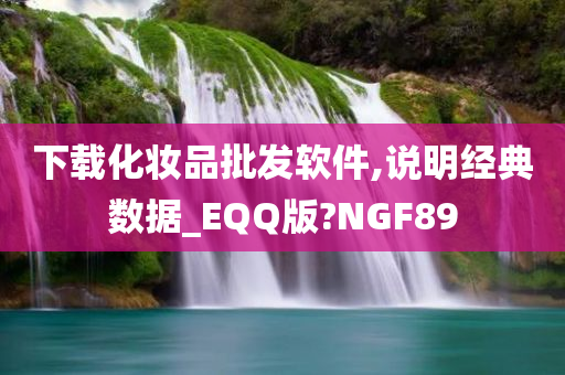 下载化妆品批发软件,说明经典数据_EQQ版?NGF89