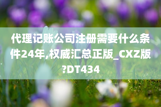 代理记账公司注册需要什么条件24年,权威汇总正版_CXZ版?DT434