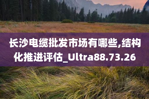 长沙电缆批发市场有哪些,结构化推进评估_Ultra88.73.26