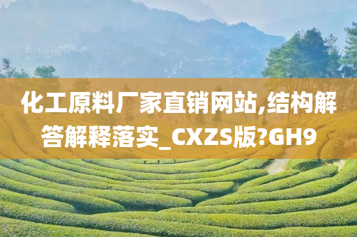 化工原料厂家直销网站,结构解答解释落实_CXZS版?GH9