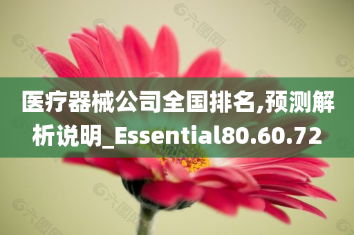 医疗器械公司全国排名,预测解析说明_Essential80.60.72