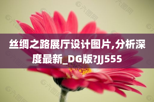 丝绸之路展厅设计图片,分析深度最新_DG版?JJ555