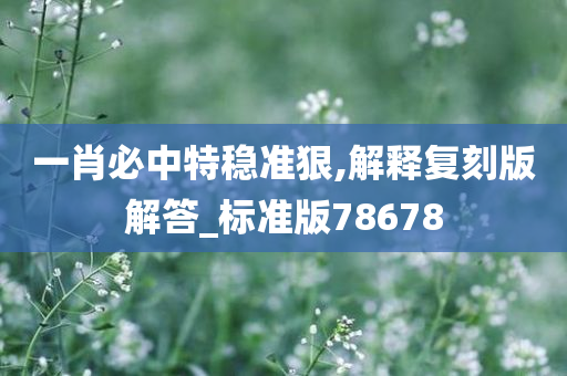 一肖必中特稳准狠,解释复刻版解答_标准版78678