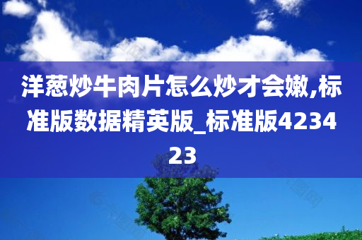 洋葱炒牛肉片怎么炒才会嫩,标准版数据精英版_标准版423423