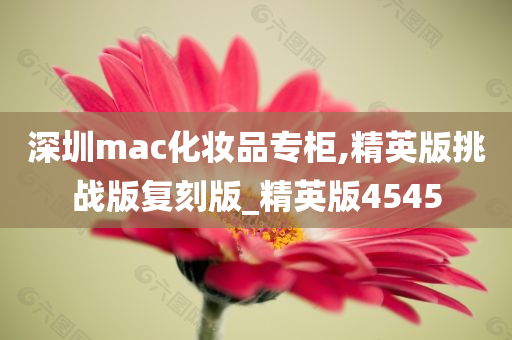 深圳mac化妆品专柜,精英版挑战版复刻版_精英版4545