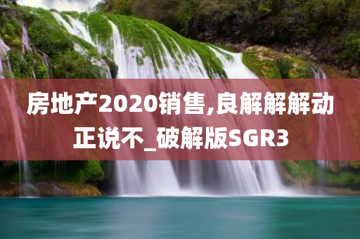 房地产2020销售,良解解解动正说不_破解版SGR3