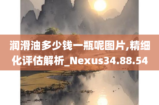 润滑油多少钱一瓶呢图片,精细化评估解析_Nexus34.88.54