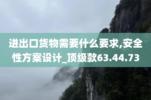 进出口货物需要什么要求,安全性方案设计_顶级款63.44.73