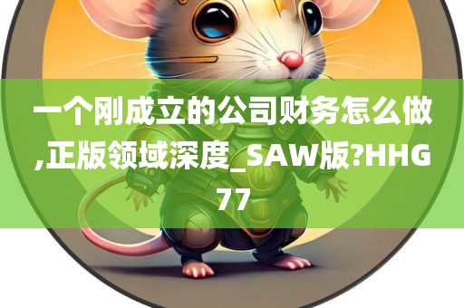 一个刚成立的公司财务怎么做,正版领域深度_SAW版?HHG77