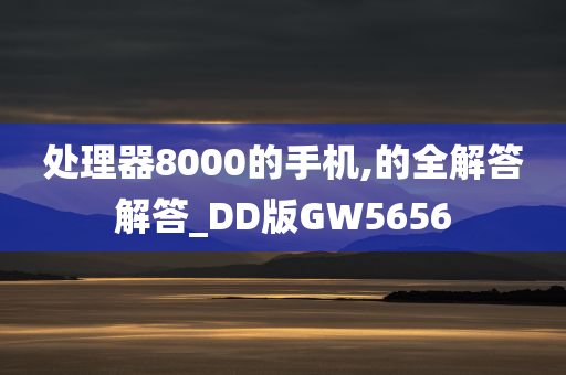 处理器8000的手机,的全解答解答_DD版GW5656