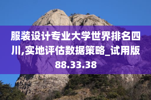 服装设计专业大学世界排名四川,实地评估数据策略_试用版88.33.38