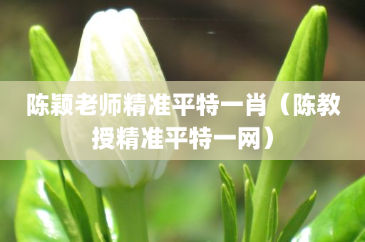 陈颖老师精准平特一肖（陈教授精准平特一网）