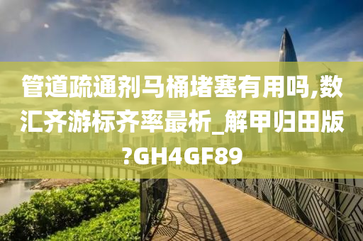 管道疏通剂马桶堵塞有用吗,数汇齐游标齐率最析_解甲归田版?GH4GF89