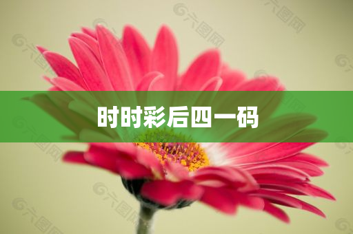 时时彩后四一码