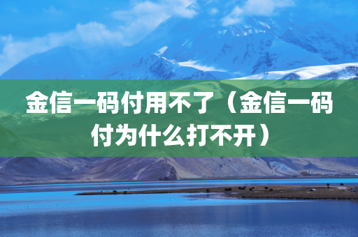 金信一码付用不了（金信一码付为什么打不开）