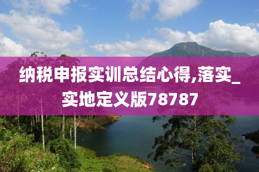 纳税申报实训总结心得,落实_实地定义版78787