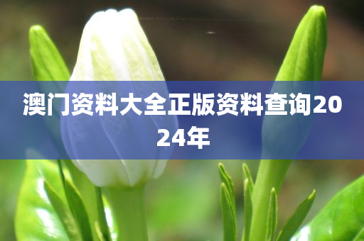 澳门资料大全正版资料查询2024年