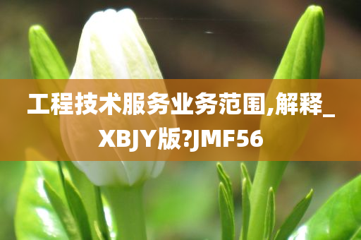 工程技术服务业务范围,解释_XBJY版?JMF56