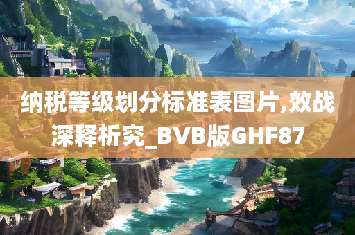 纳税等级划分标准表图片,效战深释析究_BVB版GHF87