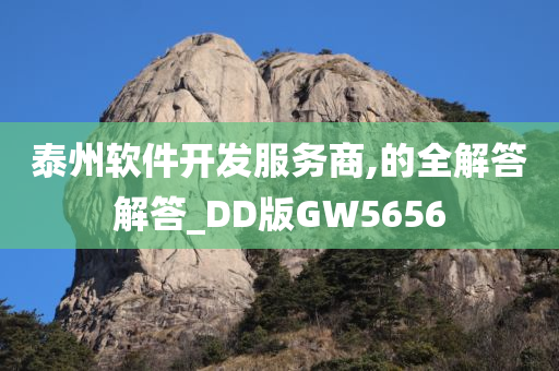 泰州软件开发服务商,的全解答解答_DD版GW5656