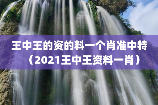 王中王的资的料一个肖准中特（2021王中王资料一肖）