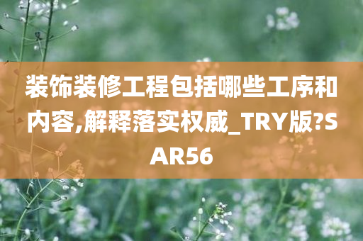 装饰装修工程包括哪些工序和内容,解释落实权威_TRY版?SAR56