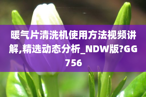 暖气片清洗机使用方法视频讲解,精选动态分析_NDW版?GG756