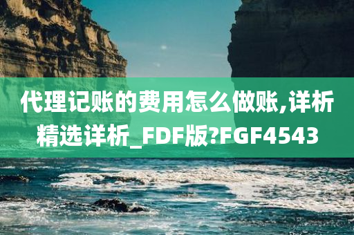 代理记账的费用怎么做账,详析精选详析_FDF版?FGF4543