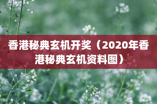 香港秘典玄机开奖（2020年香港秘典玄机资料图）