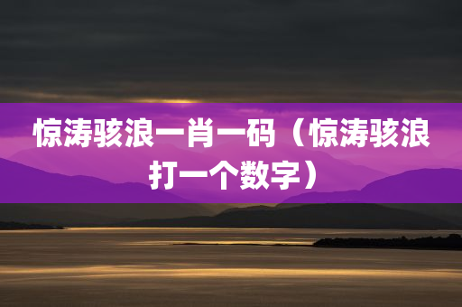 惊涛骇浪一肖一码（惊涛骇浪打一个数字）