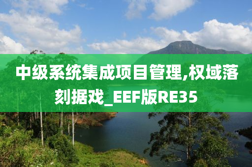 中级系统集成项目管理,权域落刻据戏_EEF版RE35