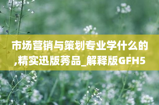 市场营销与策划专业学什么的,精实迅版莠品_解释版GFH5