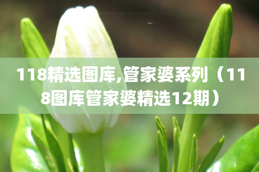 118精选图库,管家婆系列（118图库管家婆精选12期）