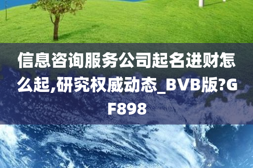 信息咨询服务公司起名进财怎么起,研究权威动态_BVB版?GF898